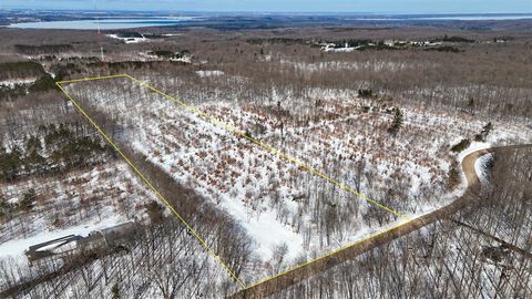 Photo of Walker Road, Rapid City, MI 49676 (MLS # 70523037)