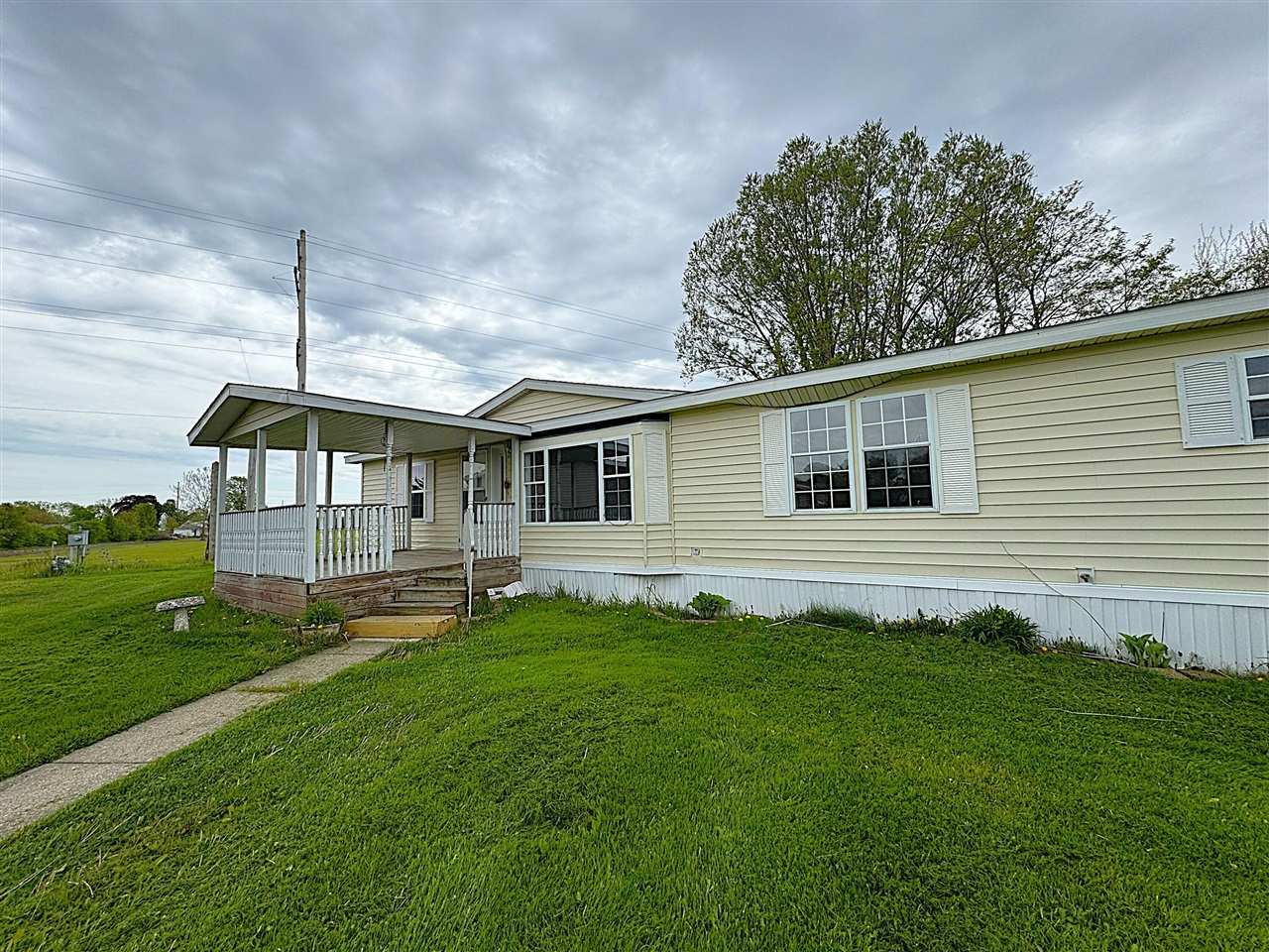 Photo 19