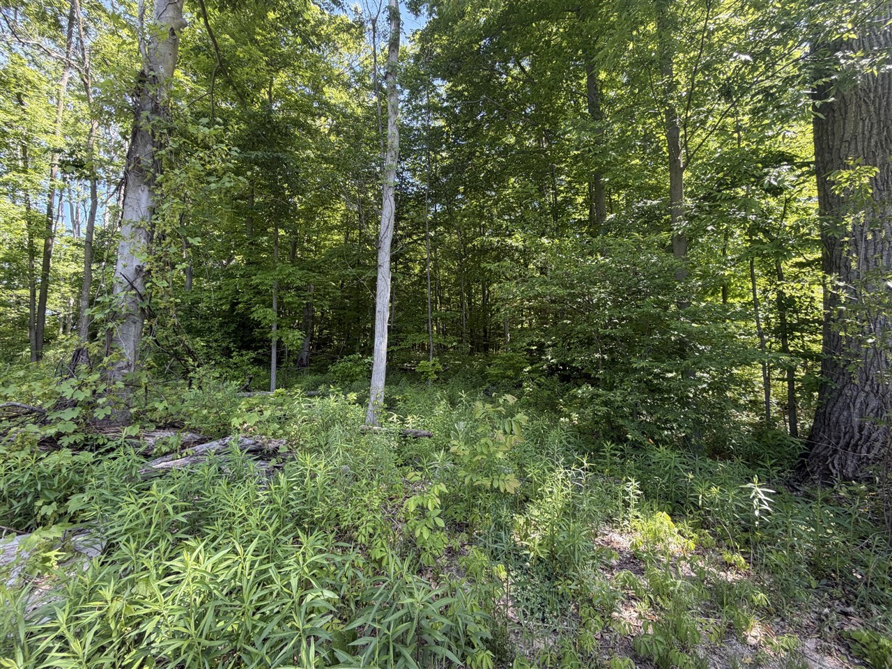 6306 Applewood Acres Drive