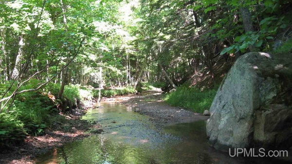 000 NEAR BIG BAY ROAD, MARQUETTE, MI 49855 - Image 2b02bc3345daafcf442b7ab4bc4c957f/2846977672