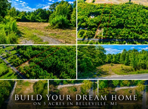 Photo of 12608 Rawsonville Road, Belleville, MI 48111 (MLS # 70531165)