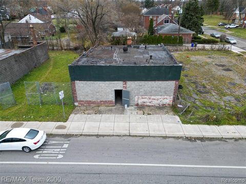 Photo of 12735 W Chicago Street, Detroit, MI 48228 (MLS # 60959438)