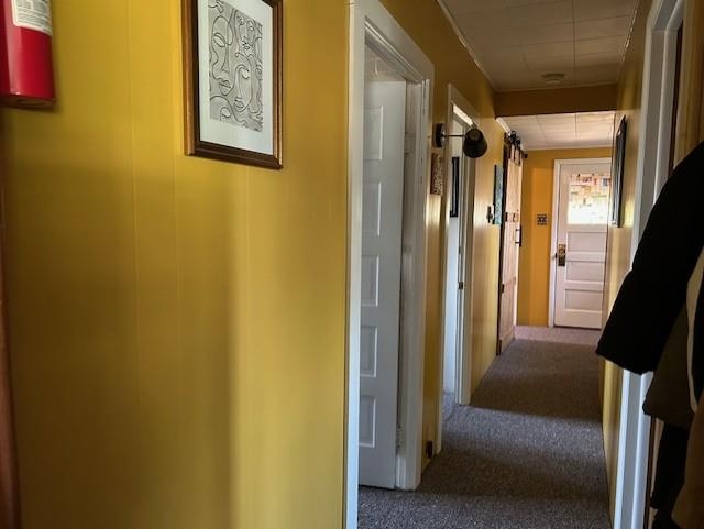 Photo 32