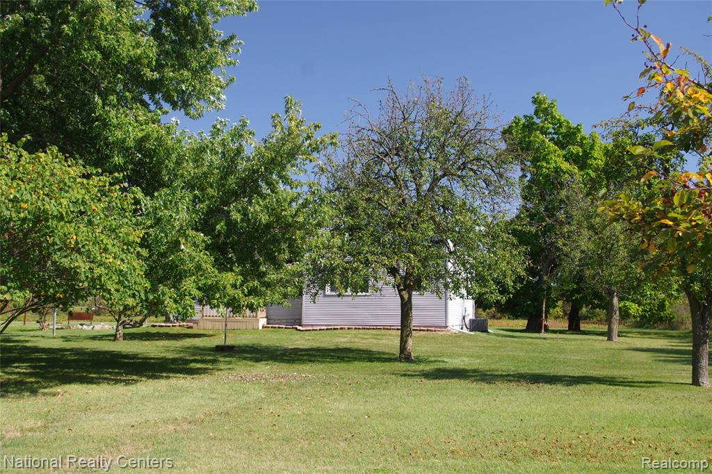 8276 War Road