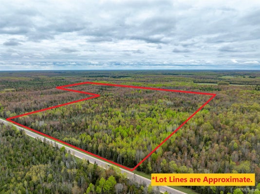 TBD M67 HIGHWAY, CHATHAM, MI 49816 - Image 2e828c4e0c39fe45db4b08b0e0090bd8/60699049