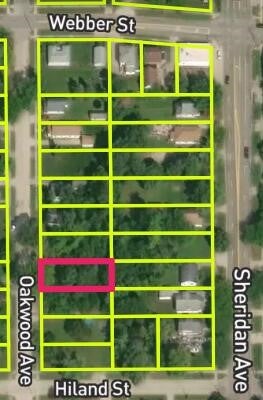 Photo of 2212 Oakwood Avenue, Saginaw, MI 48601 (MLS # 70558401)