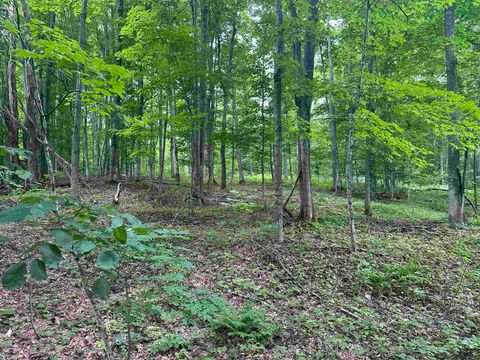 11599 S Tower Maple City MI 49664