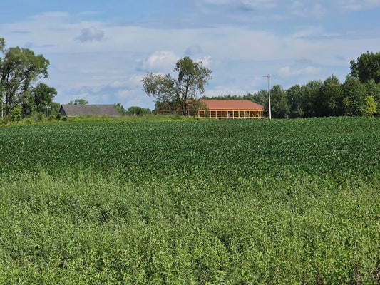 W MOSHERVILLE ROAD, LITCHFIELD, MI 49252 - Image 306d2e378a45cf7fe99f8a86d68892cc/637885940