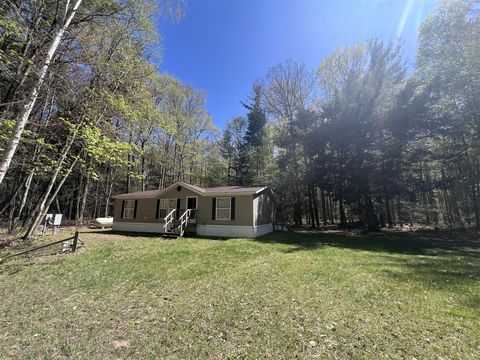 Photo of 5932 E Partridge Lane, Newaygo, MI 49337 (MLS # 70532156)