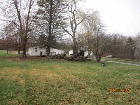 Photo of 5792 Howell Road, Otter Lake, MI 48464 (MLS # 50203437)