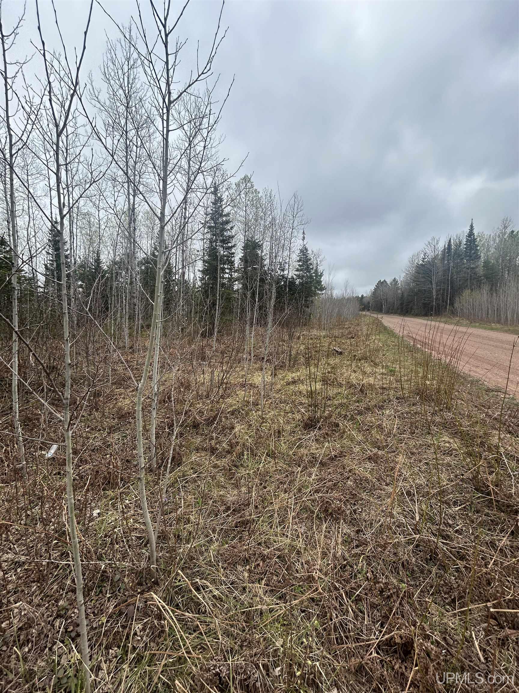 Parcel 3 Iron Pin Trail