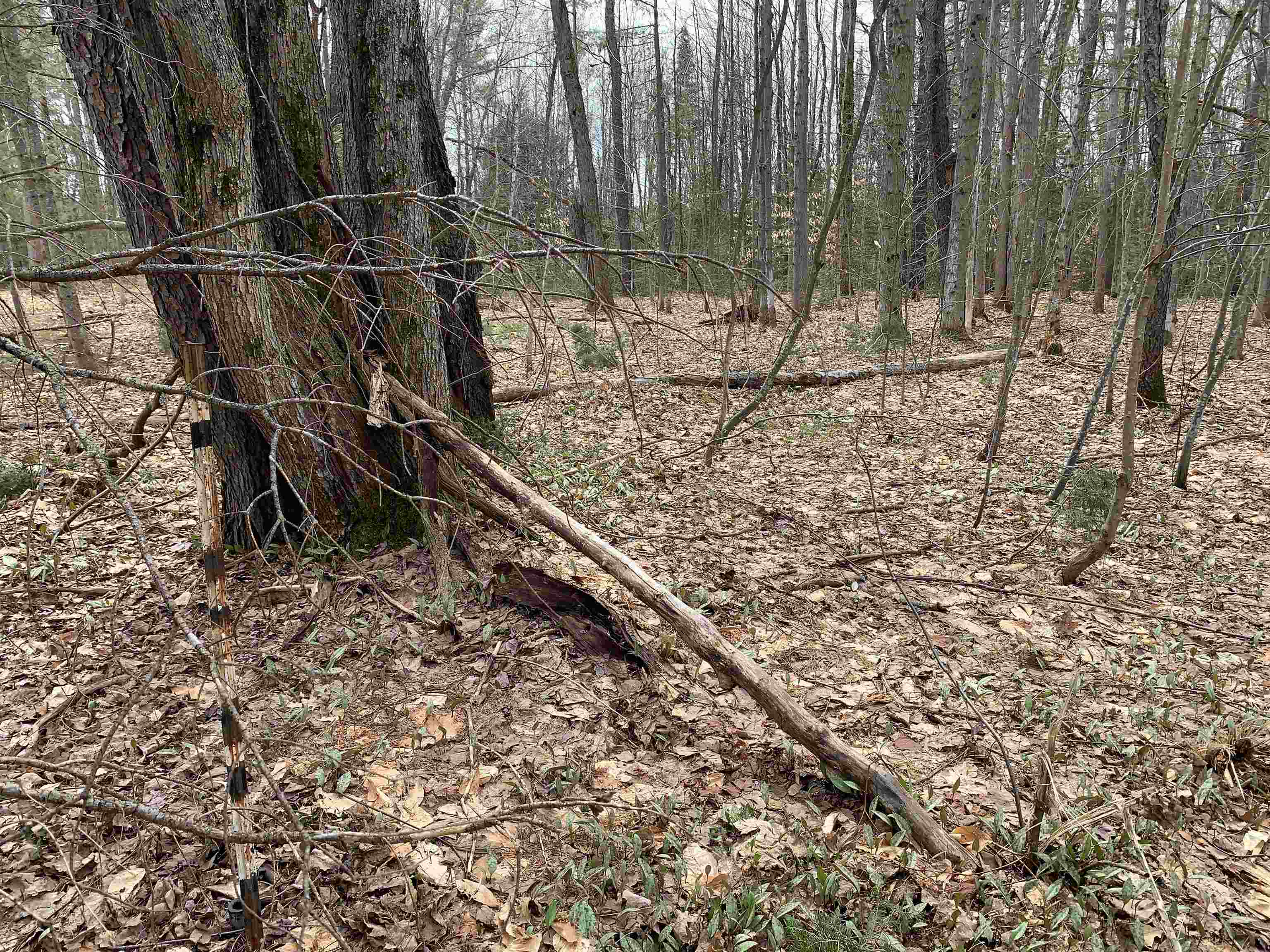 8222 NE Bass Avenue Lot: 7