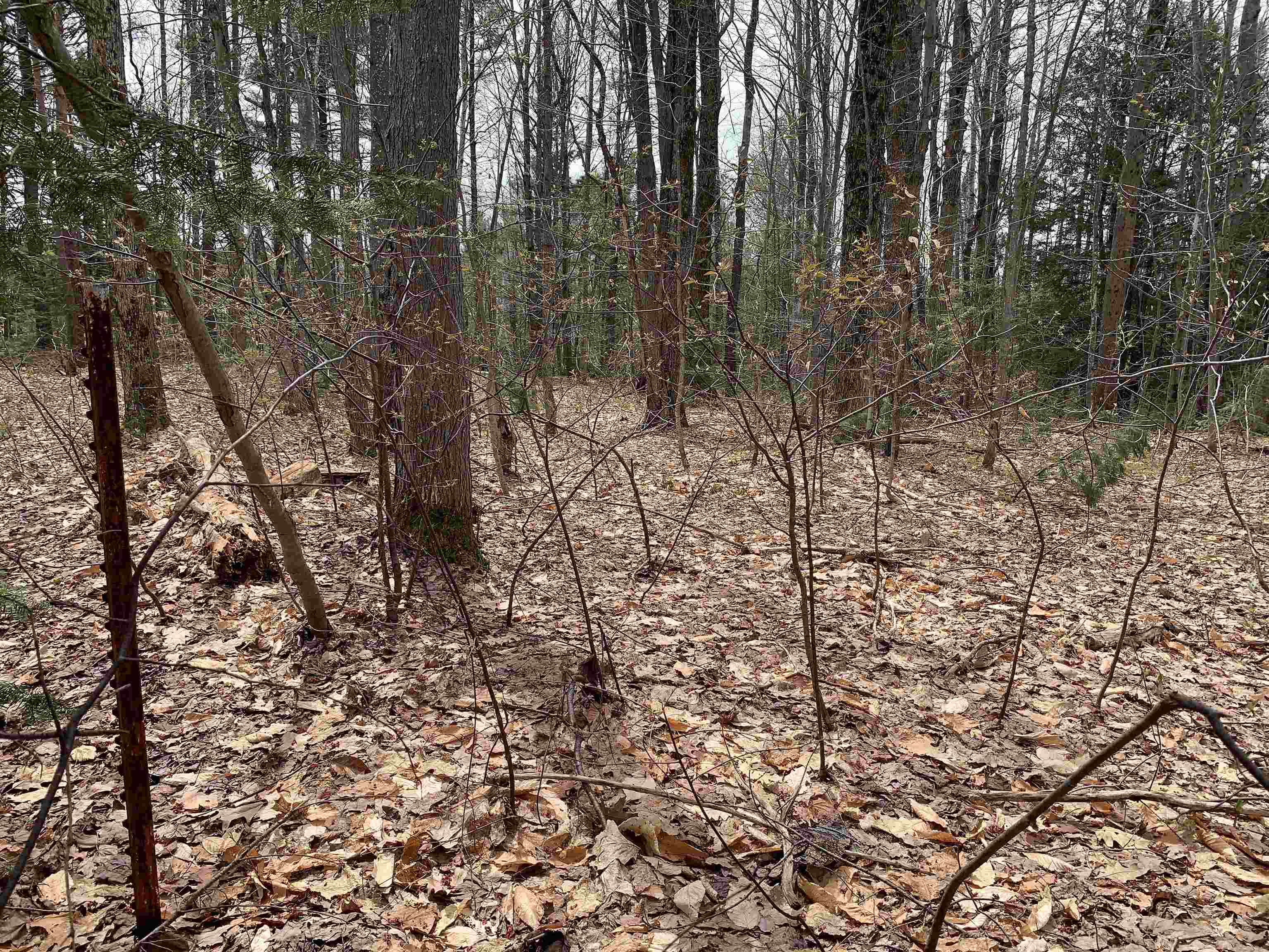 8222 NE Bass Avenue Lot: 7