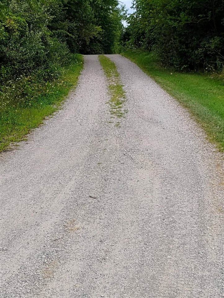 St. Pierre Drive