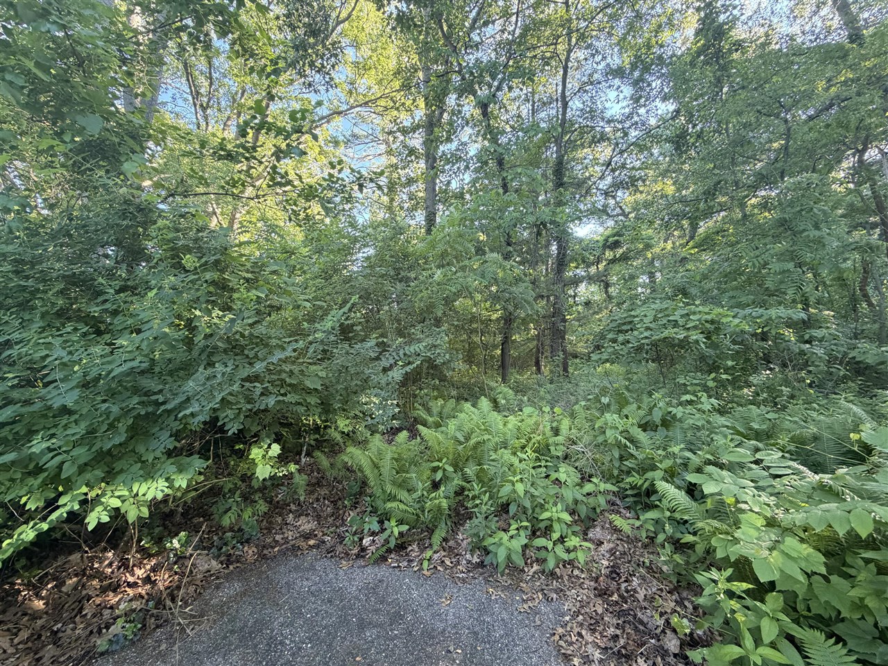 6034 River Ridge Court