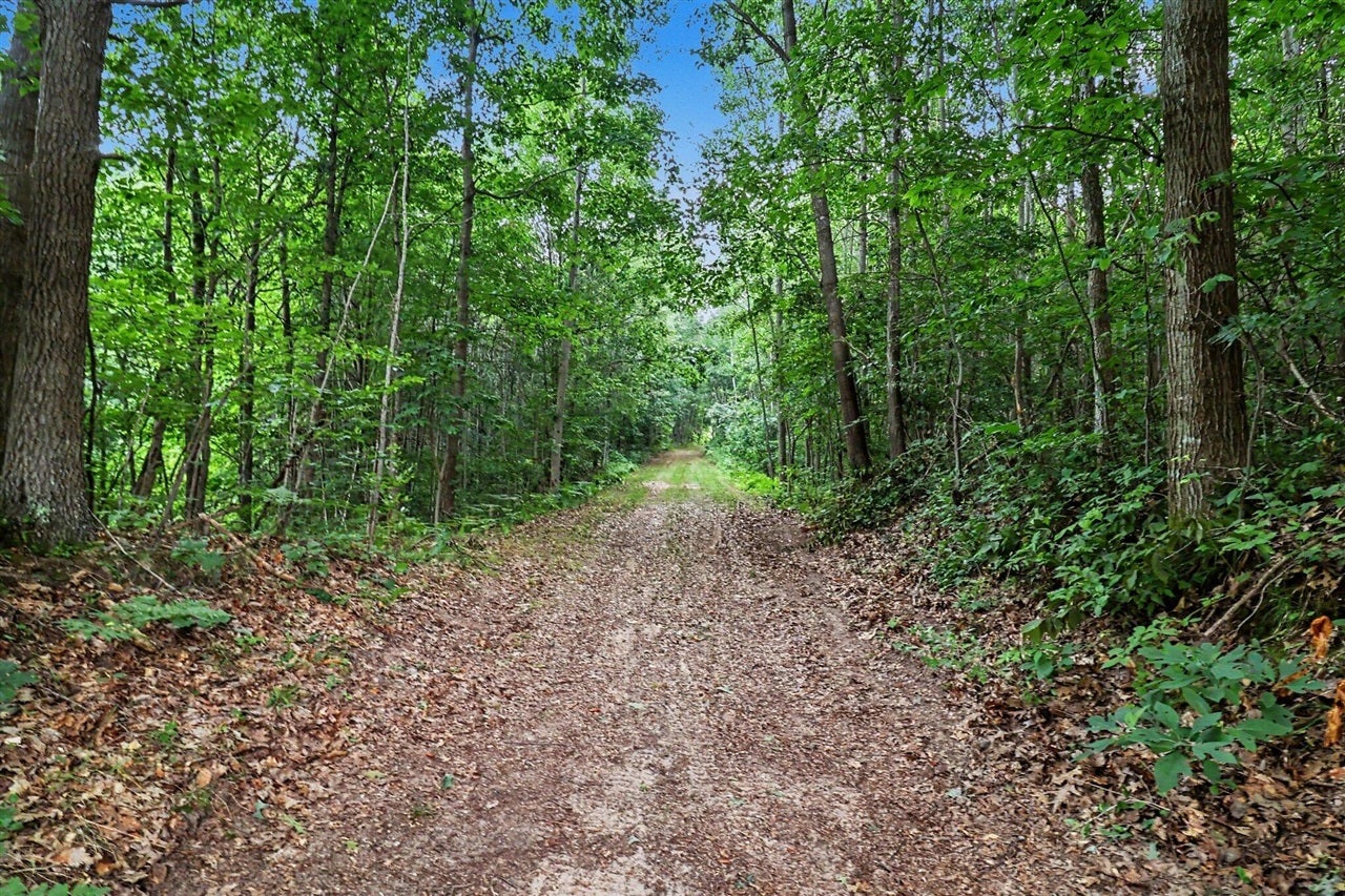 V/L N Larson Road