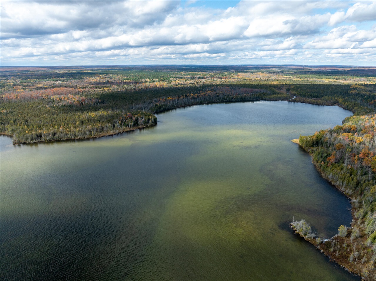 1408 Turtle Lake Road