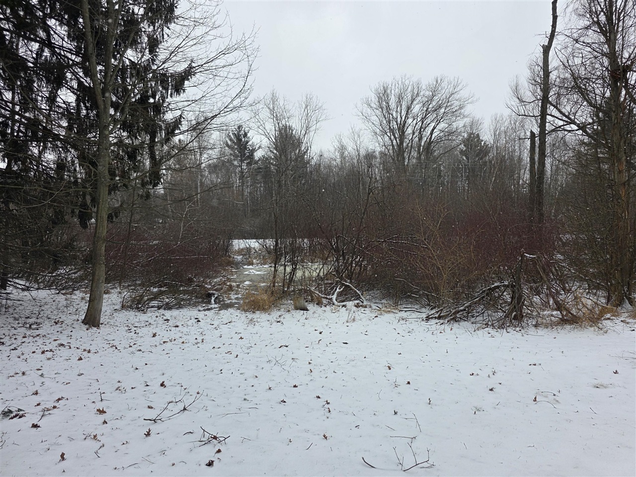 Properties Available 4 - 4 VL 11.1A W Webster Road