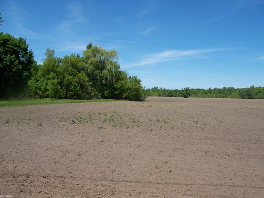 LAPEER RD, SMITHS CREEK, MI 48074 - Image 3f1ca266e0cc287d4c18d1231a59d800/682360733