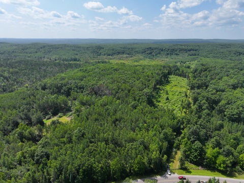 Photo of V/L 165A N Mt Maria Road, Hubbard Lake, MI 49747 (MLS # 70559808)