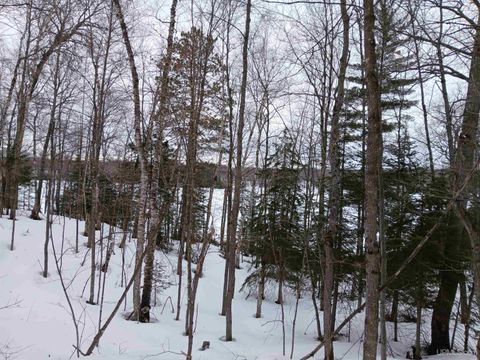 Photo of Lot 1 County Line Lake Crossroad Co Rd 602/Sucker Lake Road #Co Rd 602/Sucker Lak, Watersmeet, MI 49969 (MLS # 50203317)
