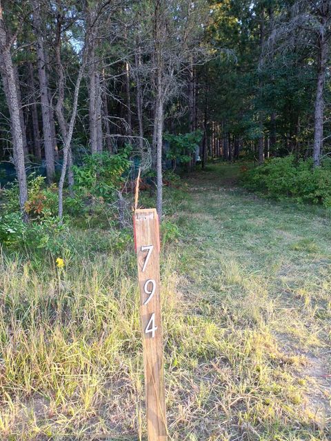 Photo of 794 M-72 E, Grayling, MI 49738 (MLS # 80062097)