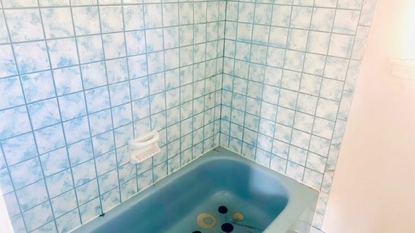 Mount Clemens, Michigan 48043, United States, 2 Bedrooms Bedrooms, ,2 BathroomsBathrooms,Residential,Active,231238