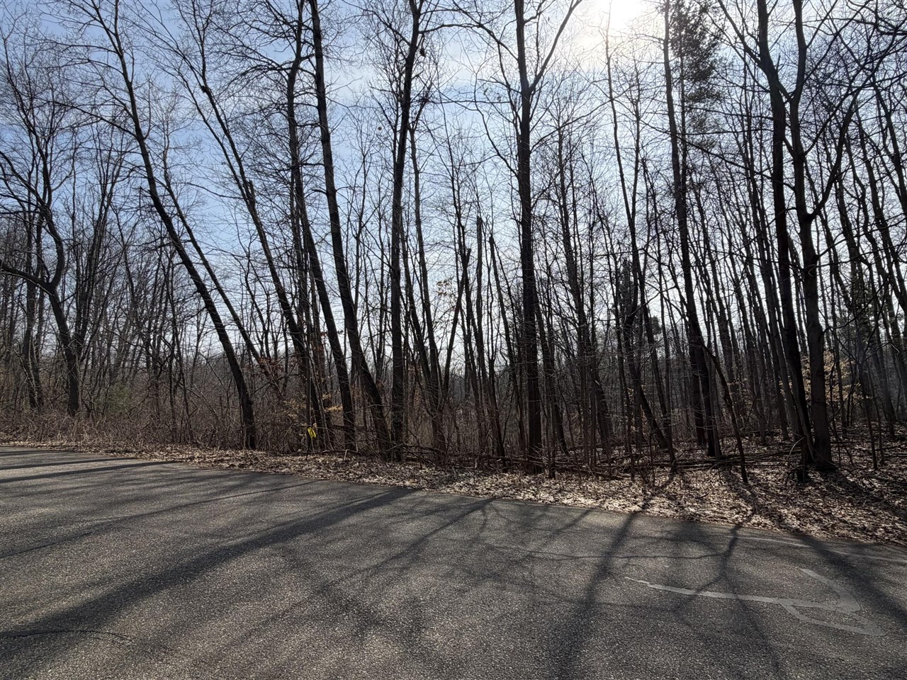 12952 Bowen Lake Drive