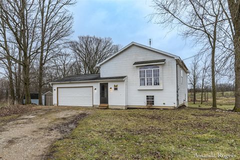 13447 Christopher Street Lake Odessa MI 48849