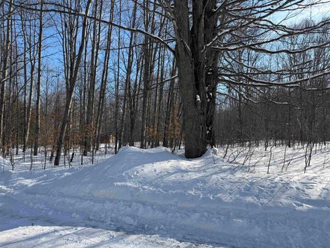 Lots 23,25,27 Muskie Way Lot: 23,25+ Ellsworth MI 49729
