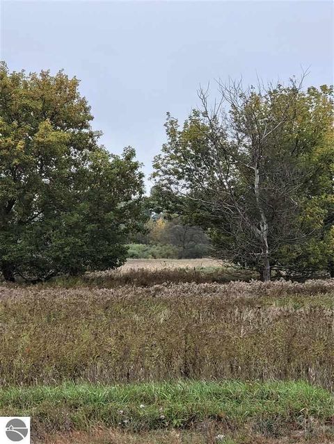 tbd W Broomfield Road Mount Pleasant MI 48858