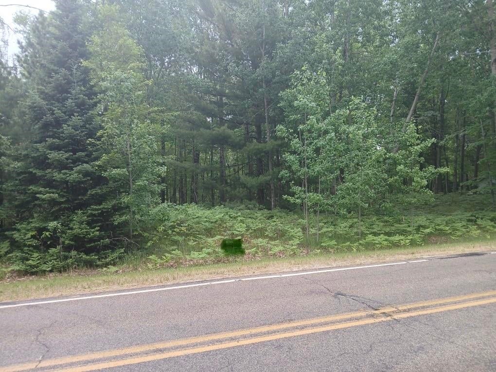 Photo of VL Springwood Lot 59 Drive, Prudenville, MI 48651 (MLS # 50210826)