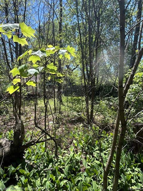 Photo of 0 Van Street, Milford Twp, MI 48756 (MLS # 61016000)