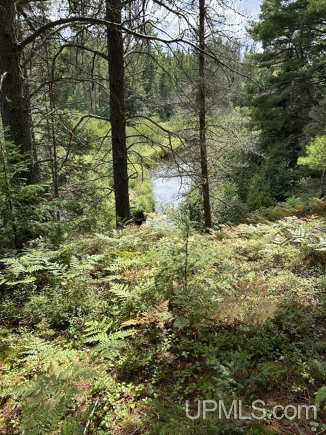 170 Acres off CR 573 Road