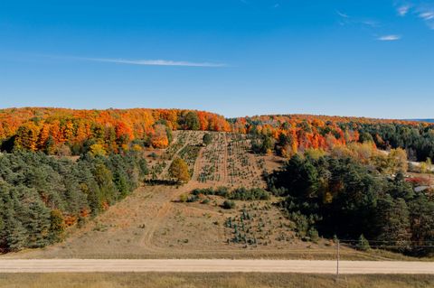 00 SW Sperry Road Parcel #11 Fife Lake MI 49633