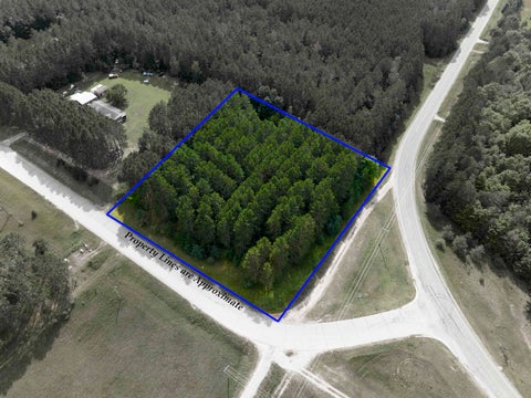 Photo of 0000 NW Dundas Road, Alden, MI 49612 (MLS # 80072785)