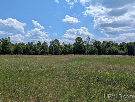 135 MAPLE ST, WHITE PINE, MI 49971 - Image 4e8c10d5d70ec47da54fc55d43ac4c63/1930427983