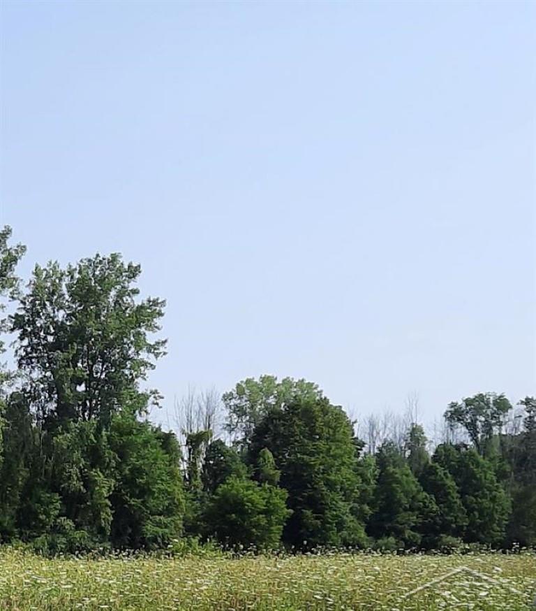 5120 N Five Mile Road