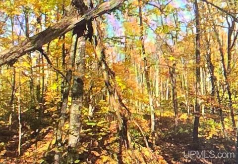 TBD Orange Road TBD Blue Road Nisula MI 49952