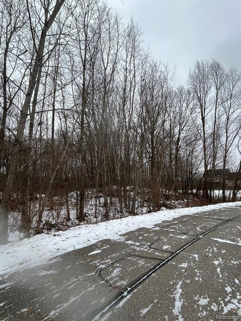 Photo of 00 Brandi Lane, Fowlerville, MI 48836 (MLS # 60959879)