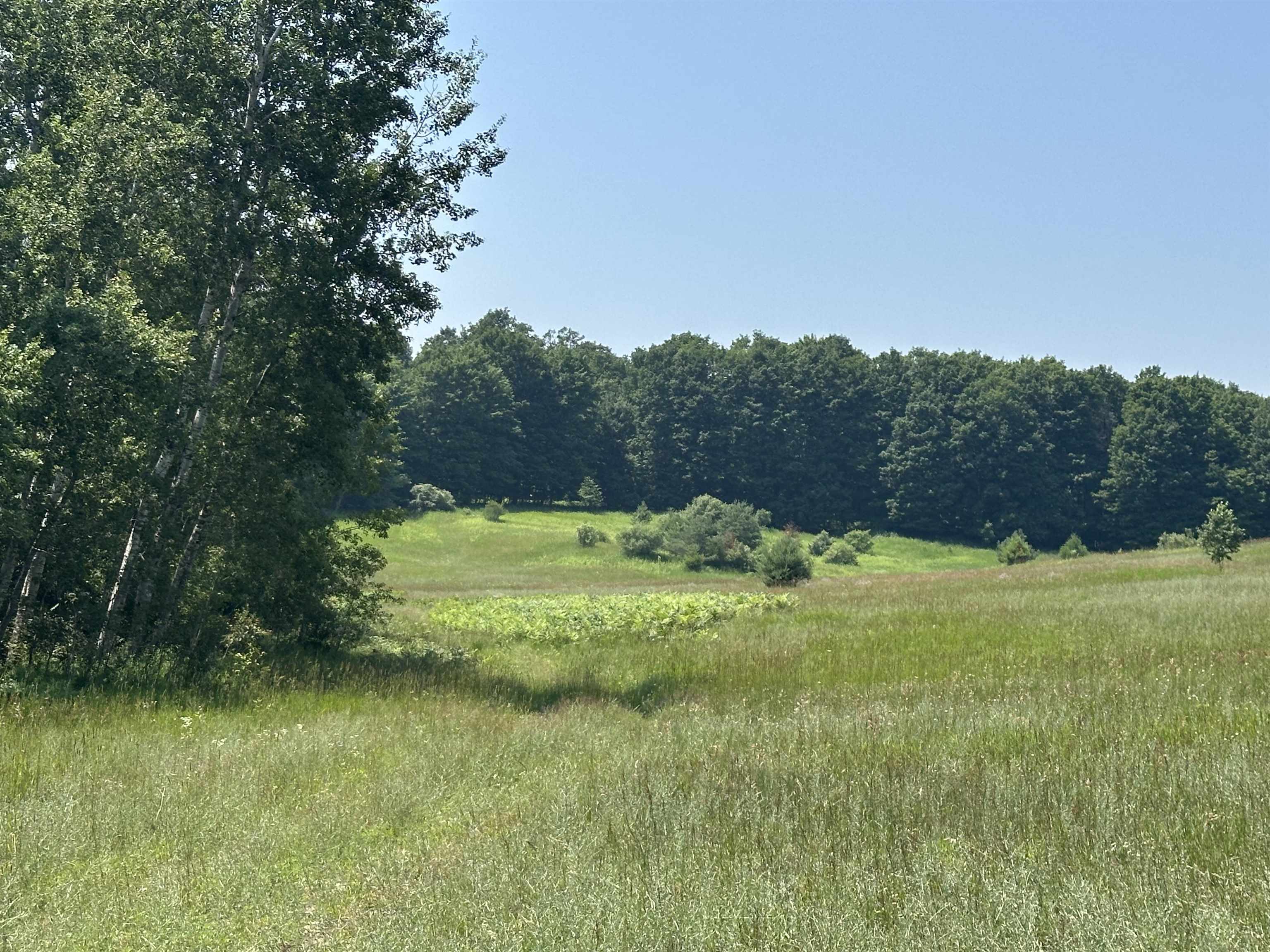 Parcel 4 Bright Road Lot: 4