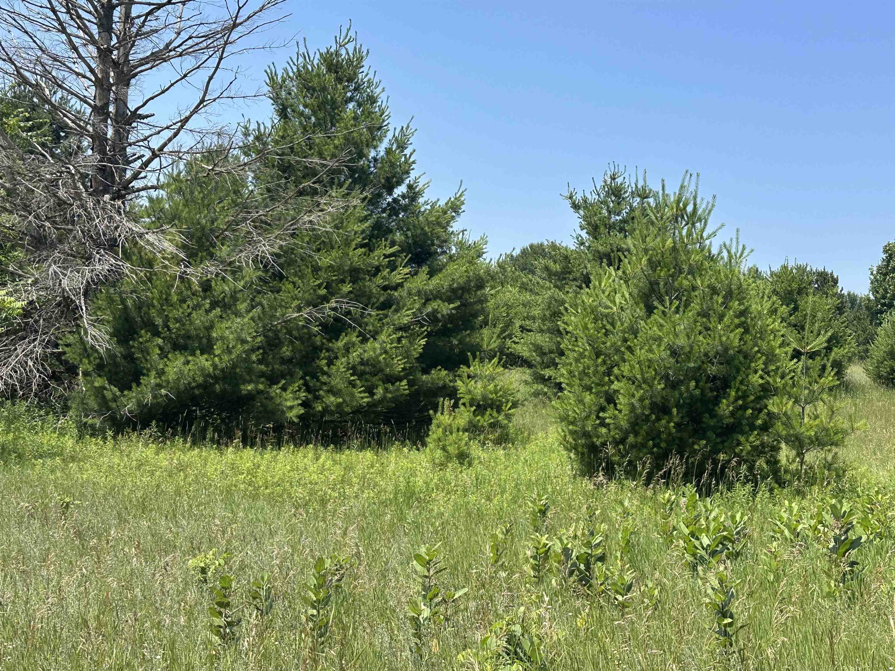 Parcel 4 Bright Road Lot: 4