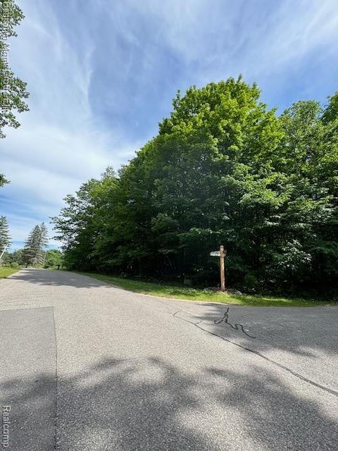 Photo of Lot 4 Deskin Drive, Bellaire, MI 49615 (MLS # 61037861)