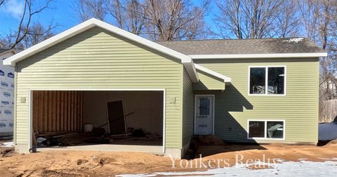 Photo of 216 Leonard Street, Belding, MI 48809 (MLS # 70519597)