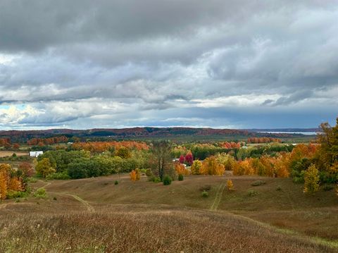 40.6 Acres Off E Popa Road Cedar MI 49621