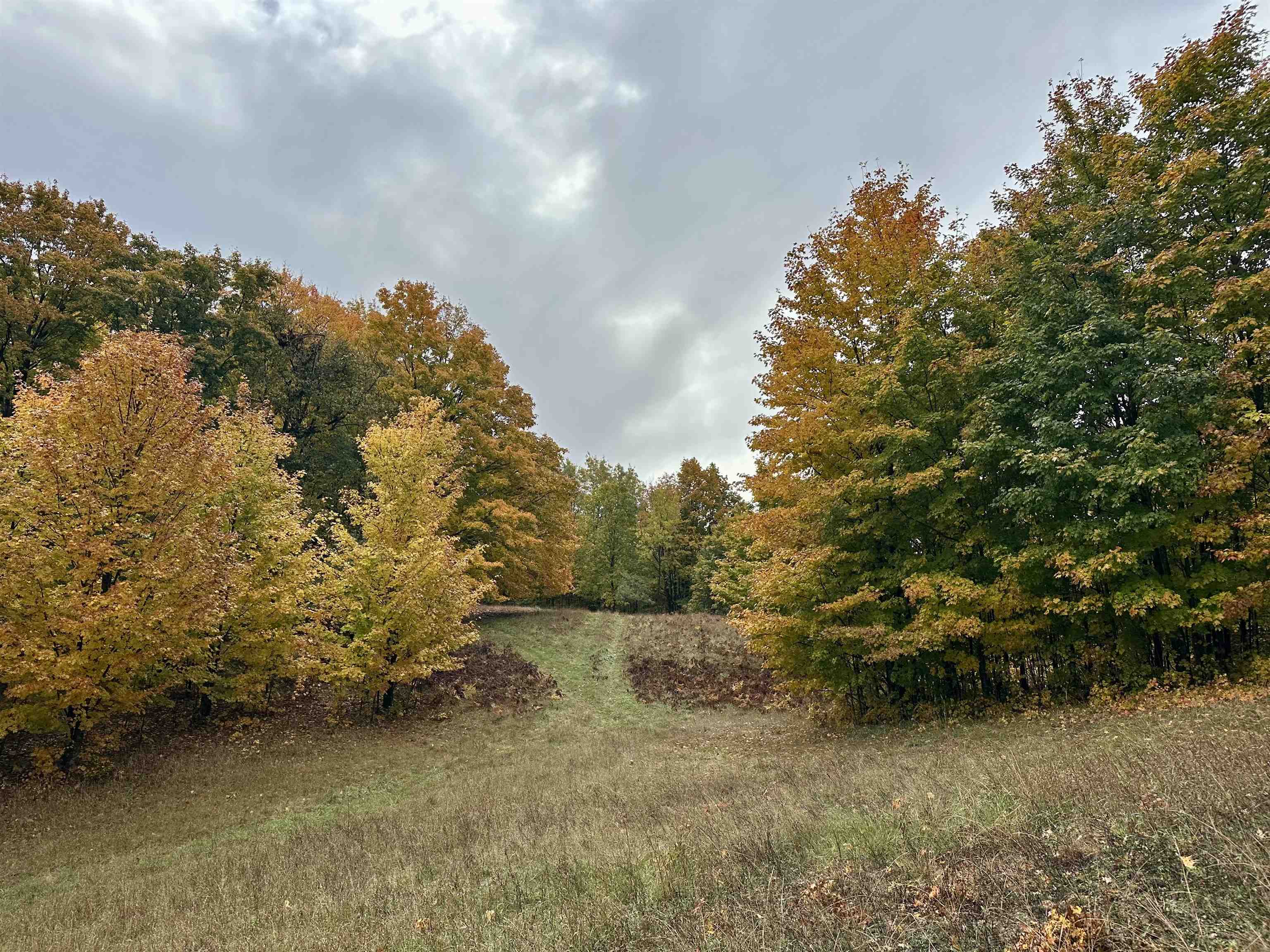 40.6 Acres Off E Popa Road