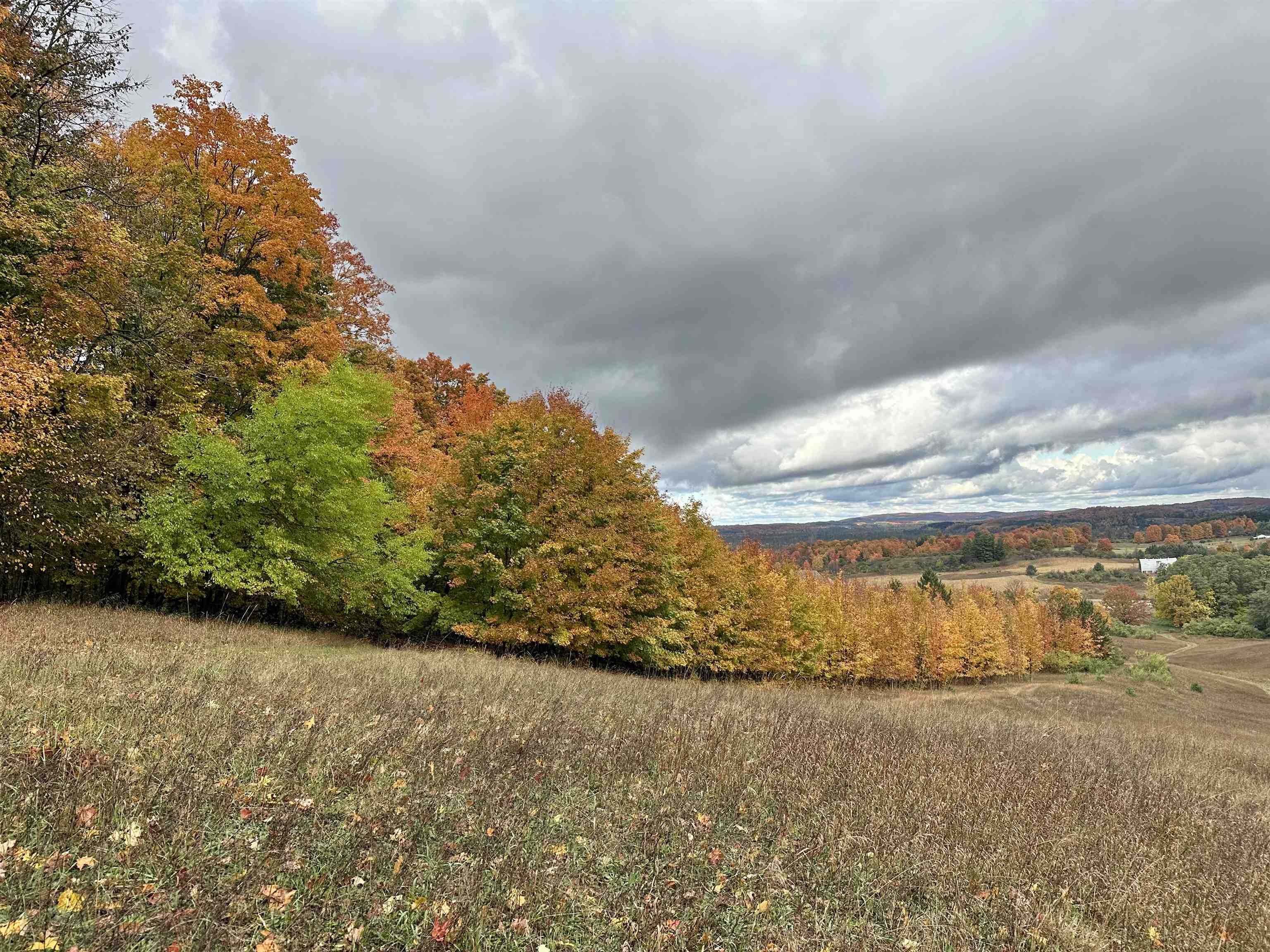 40.6 Acres Off E Popa Road