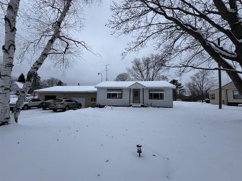 Photo of 11285 Northland Drive, Big Rapids, MI 49307 (MLS # 70508673)