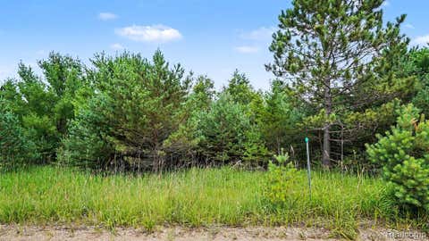 Photo of 000 Fletcher Road, Roscommon, MI 48653 (MLS # 61017150)