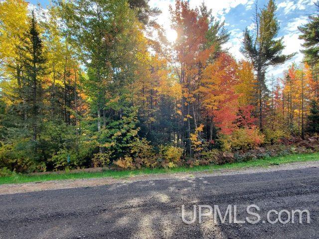 Lot #10 North Greenwood Drive
